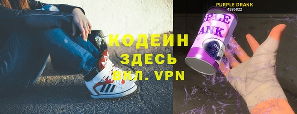 прущие грибы Новодвинск