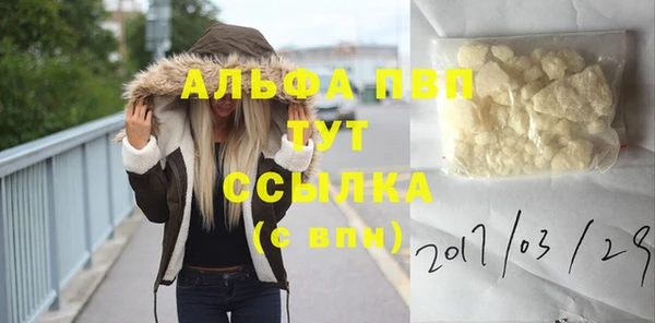 спиды Новозыбков